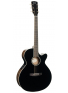 Exotic-SFX Ash (Black Gloss), зображення 1